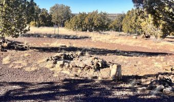1 N 8167, Concho, AZ 85924