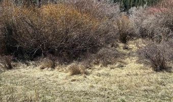 Cottonwood Drive lot 48, Antonito, CO 81120