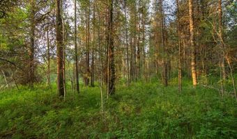4449 E Grey Owl Dr, Ashton, ID 83420