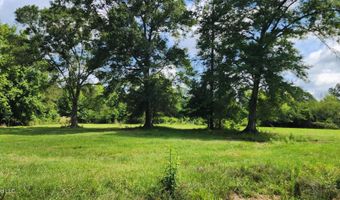 3350 SE Mount Pleasant Ln, Bogue Chitto, MS 39629