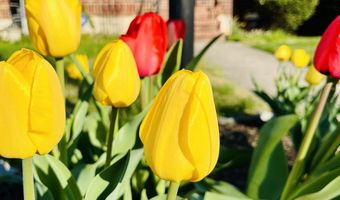7915 TILMONT Ave, Baltimore, MD 21234