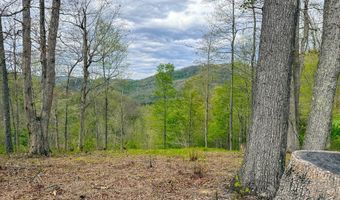 2789 Dry Fork Rd, Bandy, VA 24602