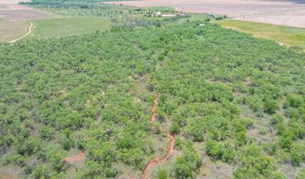 CR 260, Anson, TX 79501