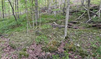 7046 S State Road 145, Birdseye, IN 47513