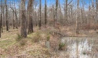 000 Hwy 105, Atkins, AR 72823