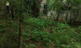 468 Adams Rd, Ardmore, TN 38449
