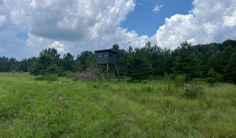 TBD County Road 40, Abbeville, AL 36310