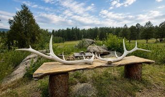 TBD County Road 59, Allenspark, CO 80510