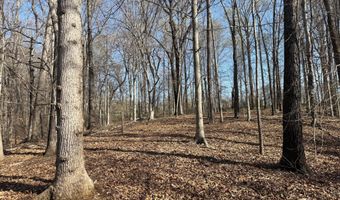 PAYNES POND RD, Arvonia, VA 23004