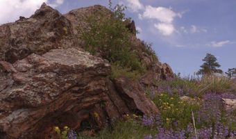 3434 Davis Ranch Rd, Bellvue, CO 80512