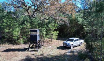 57 40 Acres-TBD Cades Rd, Cades, SC 29518