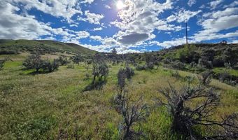 NKN E Tower Creek Road, Carmen, ID 83462