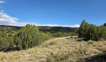 Pope Valley Ranch Rd lot 24, Beulah, CO 81023