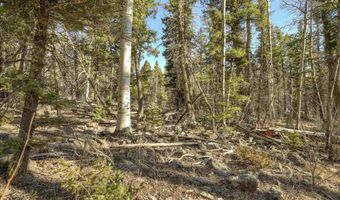 1004 And 1005 El Camino Real, Angel Fire, NM 87710