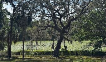 18130 KEENE Rd, Altoona, FL 32702