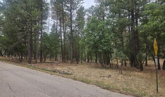 74 Lot Silvertip Trl 5, Alto, NM 88312