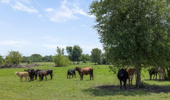 3738 Country Road 222, Anderson, TX 77830