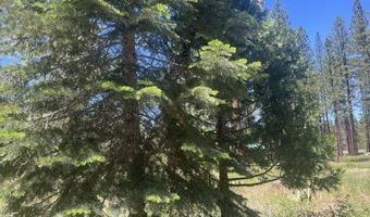 308 County Rd. 198A, Adin, CA 96006