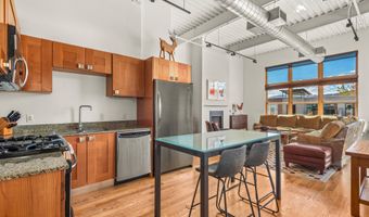 231 Robinson St #R-340, Basalt, CO 81621