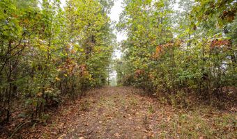 2421 Morrison Loop, Anderson, MO 64831