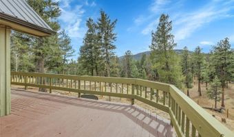 64 Elk Horn Ct, Bailey, CO 80421