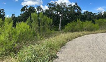 1728 Chardonnay, New Braunfels, TX 78132