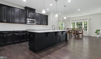 40977 NUT HATCH Ct, Aldie, VA 20105