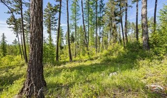 162 Trading Post Trl, Bigfork, MT 59911
