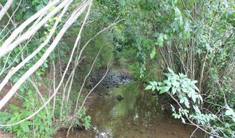 Dunn Roamin Road, Appomattox, VA 24522