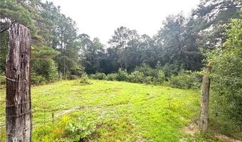 26354 C. JENKINS Rd, Angie, LA 70426