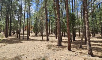 15 County Road 2065, Alpine, AZ 85920
