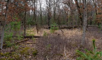 Dover Drive lot 1 14 Ac, Adams, WI 53910