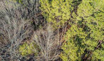2870 County Road 2604, Alto, TX 75925