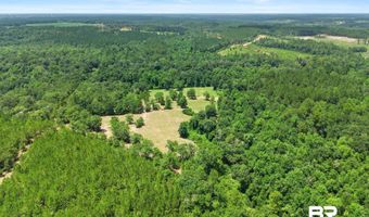 3470 Bell Fork Rd, Atmore, AL 36502