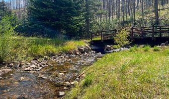 27667 Buckhorn Rd, Bellvue, CO 80512