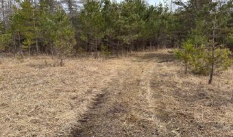 5280 Cathro Rd, Alpena, MI 49707