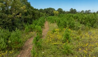 20 Ac State Hwy 95 Columbia Rd, Abbeville, AL 36310