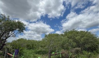 County Road 137, Alice, TX 78332