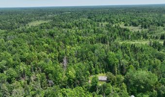 6002 Wildwood Dr, Alger, MI 48610