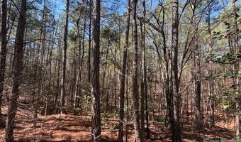 12 68 Acre 99 Rd, Blair, SC 29015