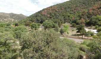 1697 Tombstone Cyn, Bisbee, AZ 85603