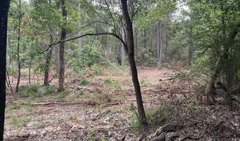 R15685 Moore Cemetery Road, Apple Springs, TX 77519