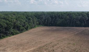 Dawling Bayou Road, Anguilla, MS 38721