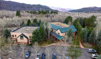 100 Elk Run Dr 220, Basalt, CO 81621