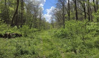 Hale Ridge Road, Beattyville, KY 41311