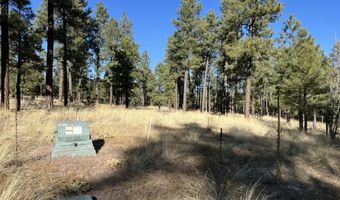 Lot C County Road N2147, Alpine, AZ 85920