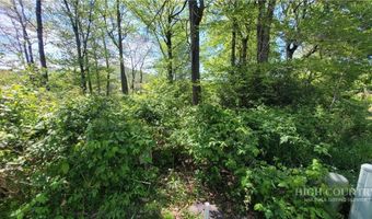 Pasture Lane lot 8, Banner Elk, NC 28604