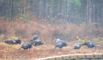 229 Pine Valley Dr, Bassett, VA 24055