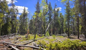PCS # 10594 Looney Lane lot 0, Alma, CO 80420