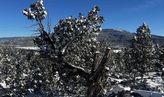 192 Pinon Hills Dr, Arboles, CO 81121